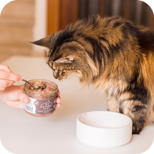 Alimenti per Gatti